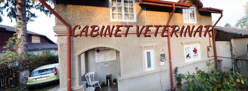 Urgent Vet - Cabinet Veterinar