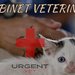 Urgent Vet - Cabinet Veterinar